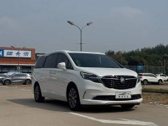 Buick GL8 ES Land Respect 653T Luxury - ფოტო 3