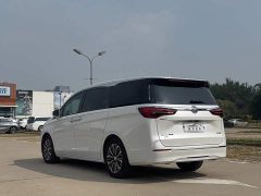 Buick GL8 ES Land Respect 653T Luxury - ფოტო 4