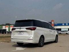 Buick GL8 ES Land Respect 653T Luxury - ფოტო 6
