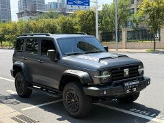 Tank 300 330 3.0T V6 - ფოტო 3