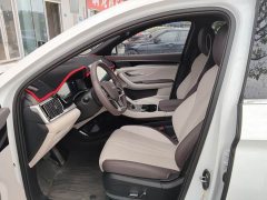 BYD Song Plus New Energy DM-i 112KM Prestige - ფოტო 3