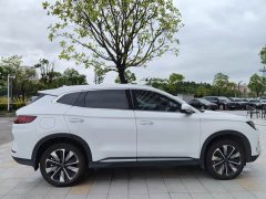 BYD Song Plus New Energy DM-i 112KM Prestige - ფოტო 9