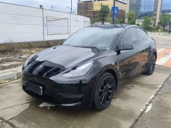 Tesla Model Y Long Range All-Wheel Drive 3D7 - ფოტო 1