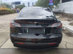 Tesla Model Y Long Range All-Wheel Drive 3D7 - ფოტო 4