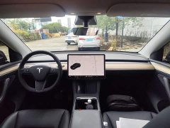 Tesla Model Y Long Range All-Wheel Drive 3D7 - ფოტო 8