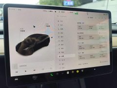 Tesla Model Y Long Range All-Wheel Drive 3D7 - ფოტო 9
