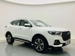 Haval H6 2023 National Trend Edition 1.5T Automatic Champion Version - ფოტო 3