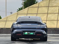 Xiaomi SU7 Quad Motor Max Founder Edition - ფოტო 7