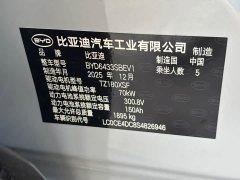 BYD Yuan UP 2025 Smart Drive 401KM Vitality Edition - ფოტო 20