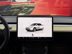 Tesla Model Y Rear-Wheel Drive - ფოტო 8