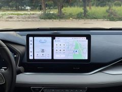 Geely Xingui Xingrui 2.0T Diesel Premium - фото 19