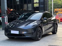 Tesla Model Y Rear-Wheel Drive - ფოტო 1