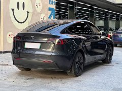 Tesla Model Y Rear-Wheel Drive - ფოტო 16
