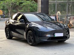 Tesla Model Y Rear-Wheel Drive - ფოტო 3