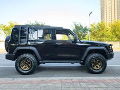 Tank 300 2021 Off-Road Edition 2.0T Conqueror - ფოტო 6