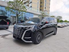 Denza BYD Denza D9 2022 DM-i 1040 Premium - ფოტო 1