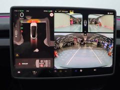 Tesla Model Y Long Range All-Wheel Drive - ფოტო 16