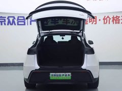 Tesla Model Y Long Range All-Wheel Drive - ფოტო 20