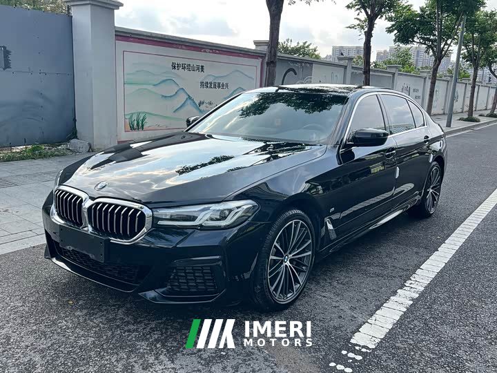 BMW 5 Series 530Li Premier M Sport Package - ავტომობილი ჩინეთიდან