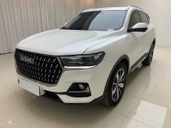 Haval H6 National Trend Edition 1.5T Automatic Champion Version - ფოტო 1