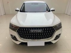 Haval H6 National Trend Edition 1.5T Automatic Champion Version - ფოტო 2