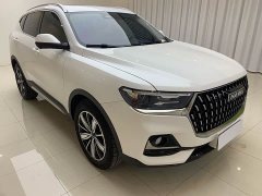 Haval H6 National Trend Edition 1.5T Automatic Champion Version - ფოტო 3