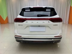 Haval H6 National Trend Edition 1.5T Automatic Champion Version - ფოტო 5