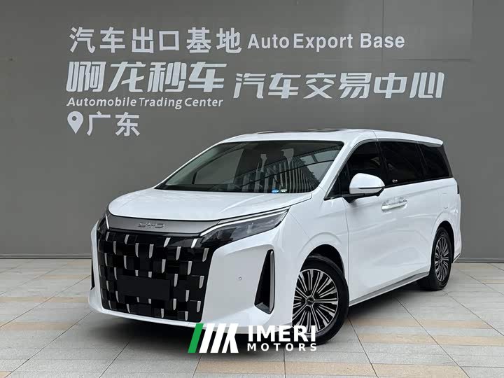 BYD M9 1060 Pilot Edition - ავტომობილი ჩინეთიდან