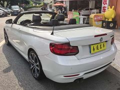 BMW 2 Series (Imported) 2019 225i Convertible Sports Design Package - ფოტო 8