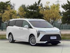 Toyota 2023 2.0T Seven-Seater Yun Shi Edition - ფოტო 3