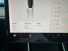 Tesla Model 3 2020 Facelift Standard Range RWD Upgrade - ფოტო 11
