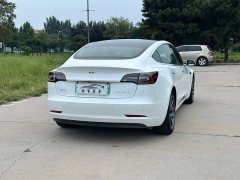 Tesla Model 3 2020 Facelift Standard Range RWD Upgrade - ფოტო 6