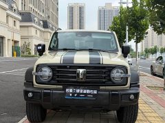 Tank 300 2.0T Gasoline Conqueror - ფოტო 2