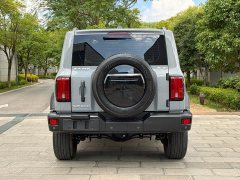 Tank 300 Off-Road Edition 2.0T Conqueror - ფოტო 8