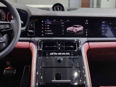 Porsche 2024 Panamera 2.9T - ფოტო 18