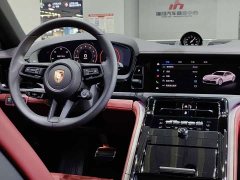 Porsche 2024 Panamera 2.9T - ფოტო 20