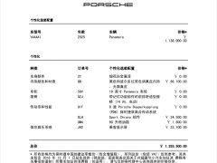 Porsche 2024 Panamera 2.9T - ფოტო 14