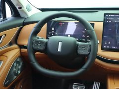 Great Wall WEY Blue Mountain Intelligent Advanced 4WD Max - ფოტო 19