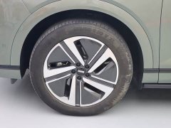 Great Wall WEY Blue Mountain Intelligent Advanced 4WD Max - ფოტო 4