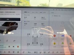 Li Auto L9 2022 Max - ფოტო 18