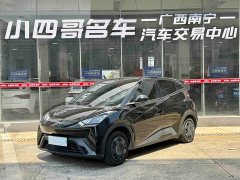 BYD Seagull 2025 305km Vitality Edition - ფოტო 1