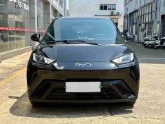 BYD Seagull 2025 305km Vitality Edition - ფოტო 2