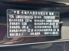 Great Wall WEY Blue Mountain 2025 Four-Wheel Drive Max - ფოტო 14