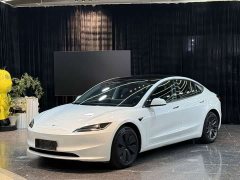 Tesla Model 3 Rear-Wheel Drive - ფოტო 1