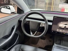 Tesla Model 3 Rear-Wheel Drive - ფოტო 10
