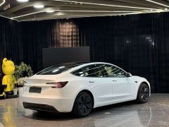 Tesla Model 3 Rear-Wheel Drive - ფოტო 12