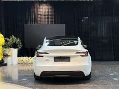 Tesla Model 3 Rear-Wheel Drive - ფოტო 13