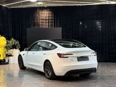 Tesla Model 3 Rear-Wheel Drive - ფოტო 14