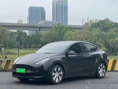 Tesla Model Y Facelift Rear-Wheel Drive - ფოტო 1