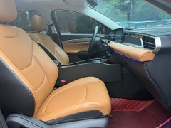 Ford Faraday Forrest 1.5L Automatic Glory Edition - ფოტო 17